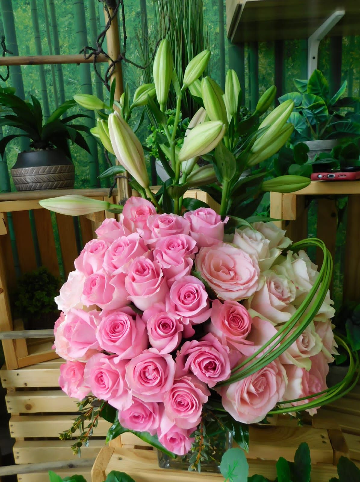 فازة ورد وردي 