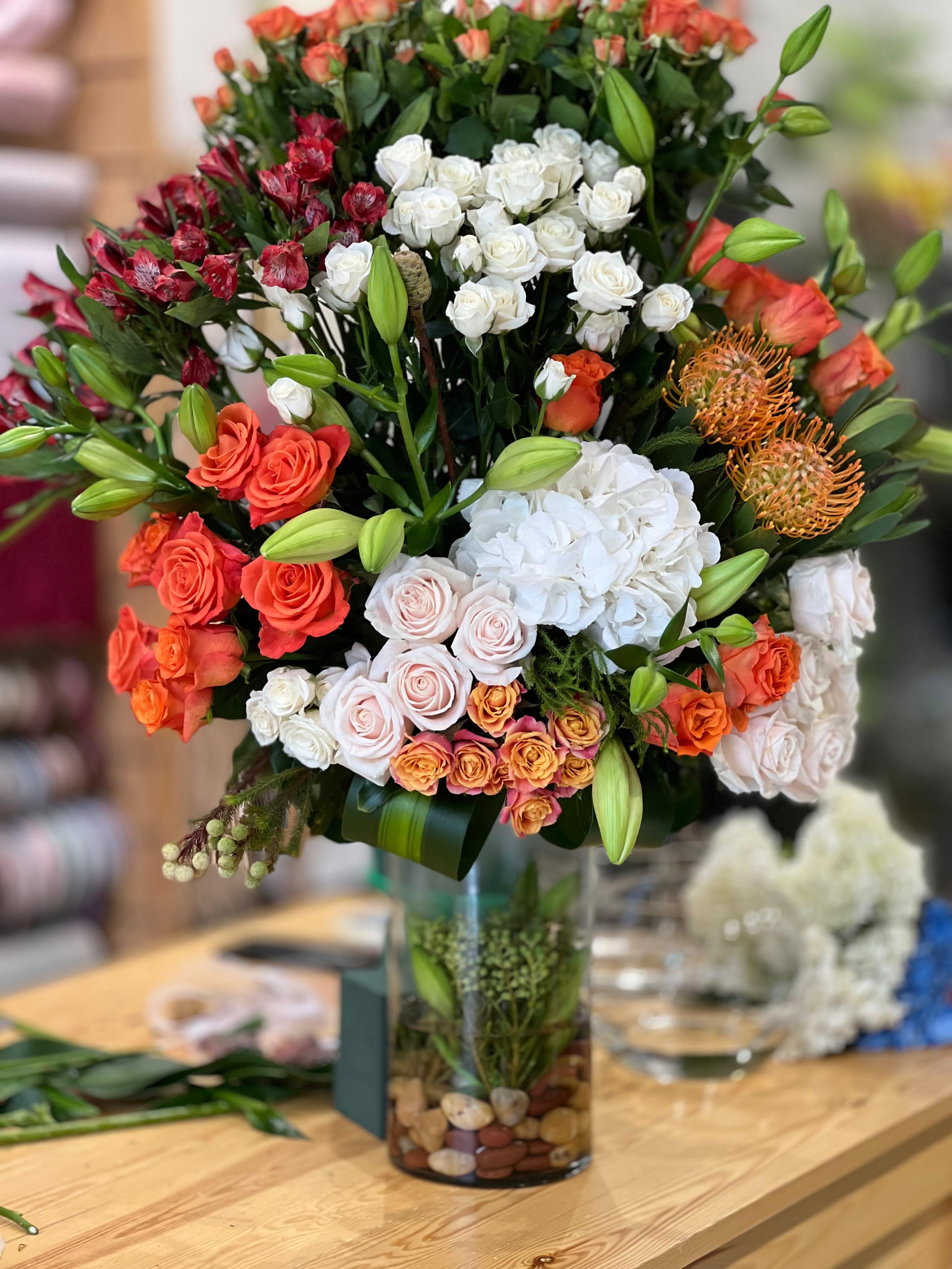 فازة العمر الحلو 