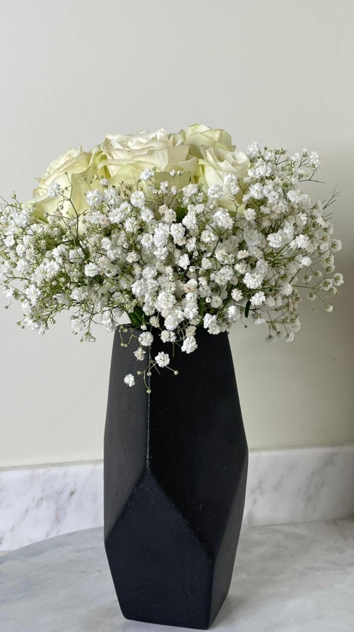 فازة جبسوفيليا