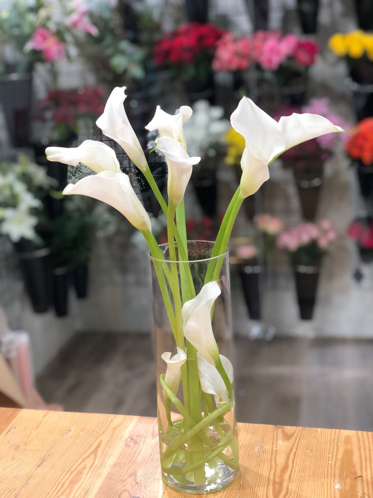 زهور كالا ابيض 