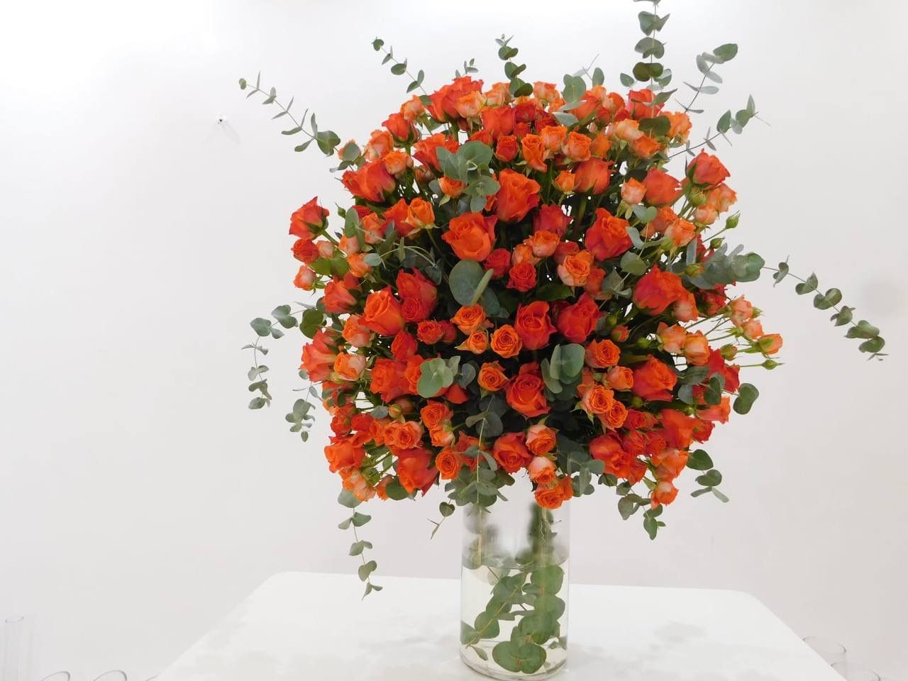 فازة روز أورنج  