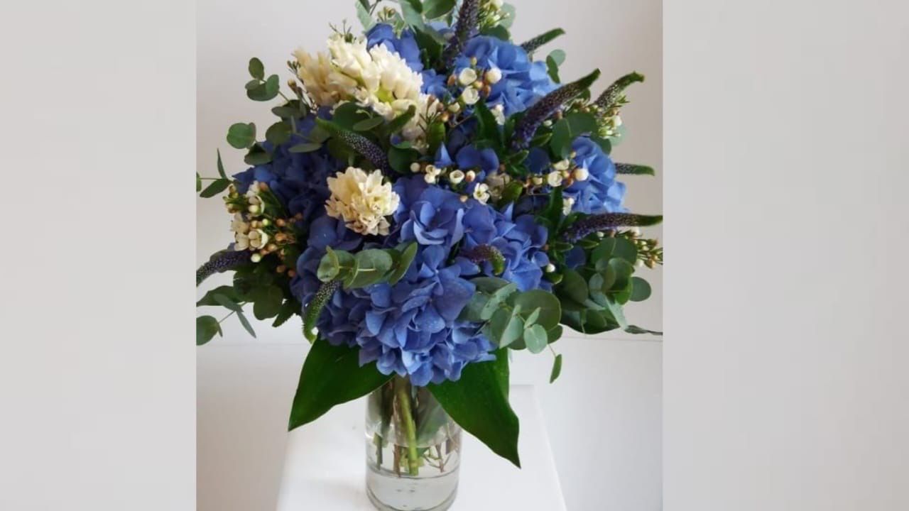 فازة هيدرنجا أزرق