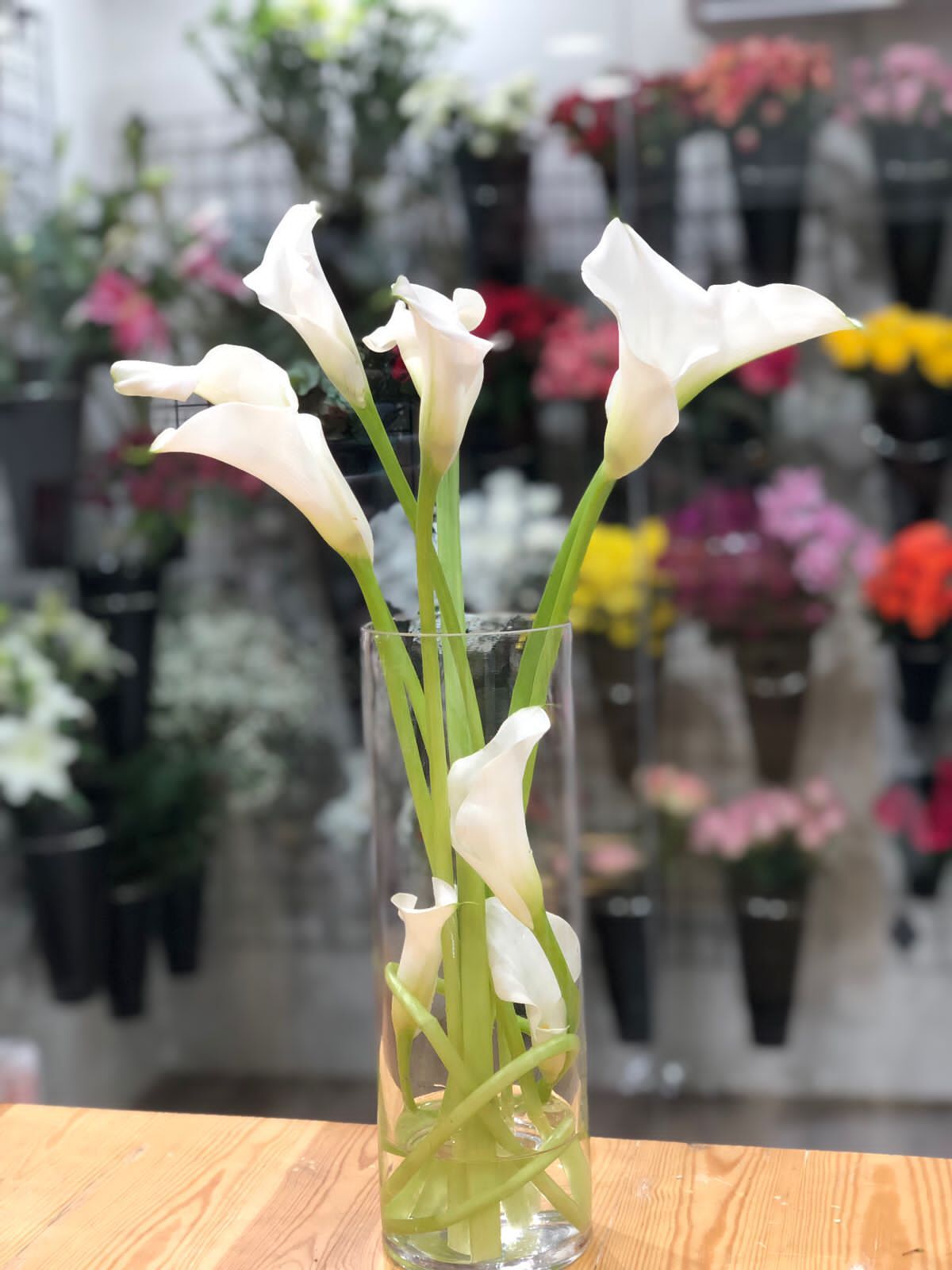 زهور كالا ابيض 